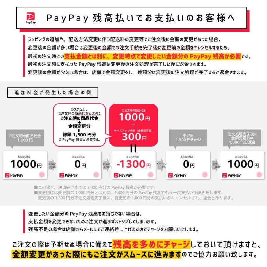 プテラノドン1 名入れトートバッグSサイズ プチプラ 手提げトート 恐竜 化石 肉食 草食 雑食 海 陸 - 画像 (7)