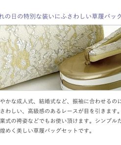 草履バッグ Fサイズ シンプル 無地 ぞうり 草履 バッグ セット 草履バッグセット 女性 振袖 卒業袴 袴 訪問着 着物 和装 正装 成人式 結婚式 卒業式 ママ振り