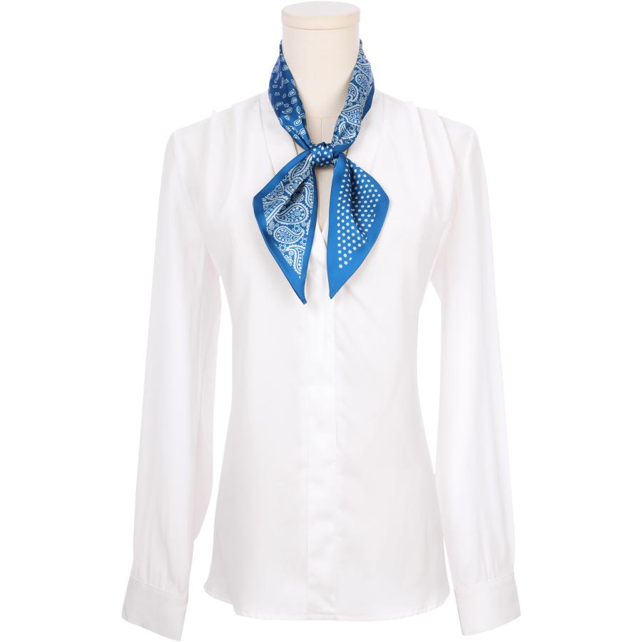 Elerevyo レディース ペイズリー柄 ドット柄 スキニーロングスカーフ サテンシルクリボン ヘアバンド ネッカチーフ ネックスカーフ ピーコック - 画像 (2)